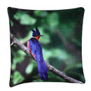 Chestnut-winged Cuckoo Cushion Cover Plush Velvet - Exclusive Deals Ltd - Exclusive Deals