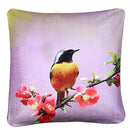 Daurian Redstart Cushion Cover Plush Velvet - Exclusive Deals Ltd - Exclusive Deals