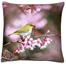 Oriental White-eye Cushion Cover Plush Velvet - Exclusive Deals Ltd - Exclusive Deals
