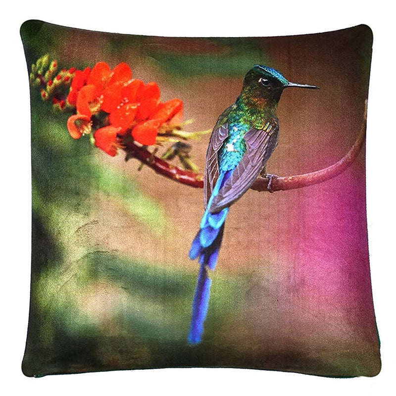 Tailed Hummingbird Cushion Cover Plush Velvet - Exclusive Deals Ltd - Exclusive Deals