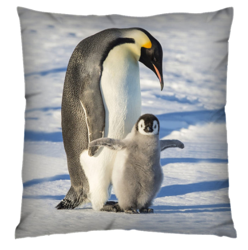 Penguin Cushion Cover 2 Plush Velvet - Exclusive Deals Ltd - Exclusive Deals