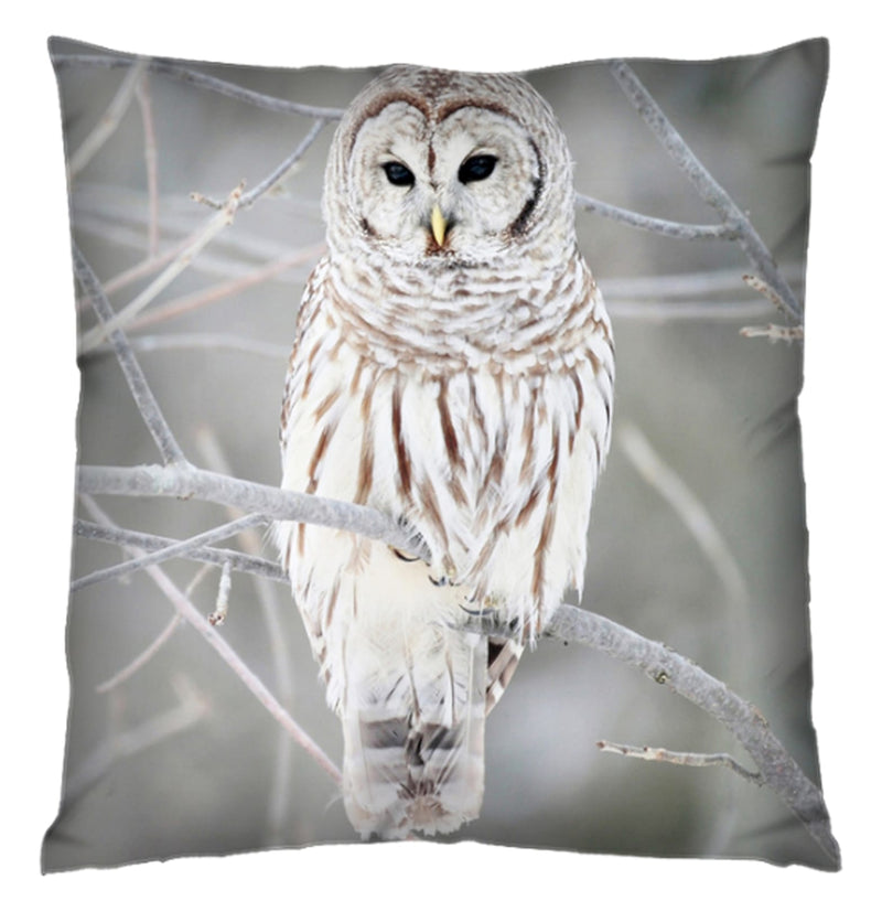 Barred Owl Cushion Cover Plush Velvet - Exclusive Deals Ltd - Exclusive Deals