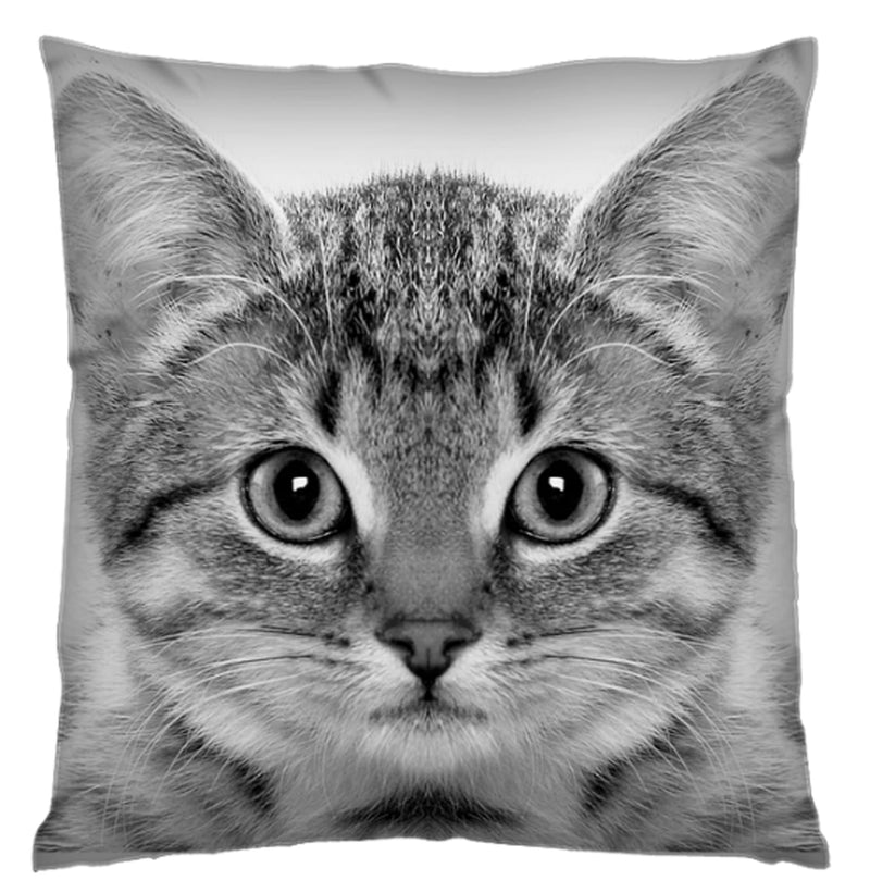 Cat Cushion Cover Plush Velvet - Exclusive Deals Ltd - Exclusive Deals
