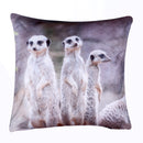 Meerkat Cushion Cover Plush Velvet - Exclusive Deals Ltd - Exclusive Deals